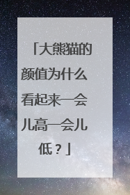大熊猫的颜值为什么看起来一会儿高一会儿低？