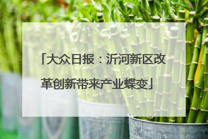 大众日报：沂河新区改革创新带来产业蝶变