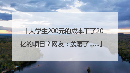 大学生200元的成本干了20亿的项目？网友：羡慕了……