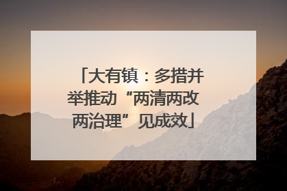 大有镇：多措并举推动“两清两改两治理”见成效