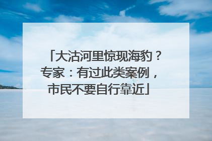 大沽河里惊现海豹？专家：有过此类案例，市民不要自行靠近