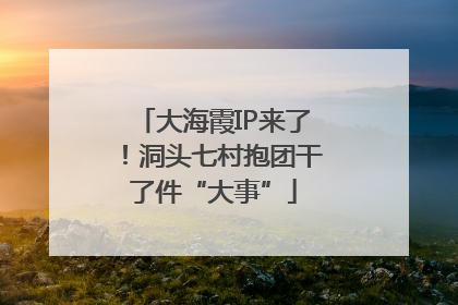 大海霞IP来了！洞头七村抱团干了件“大事”