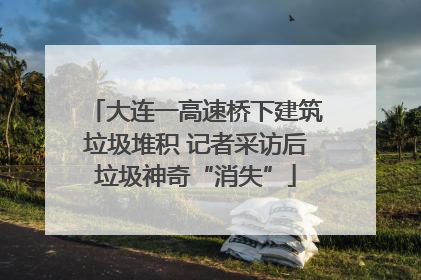 大连一高速桥下建筑垃圾堆积 记者采访后垃圾神奇“消失”