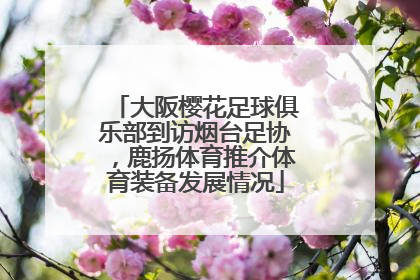 大阪樱花足球俱乐部到访烟台足协，鹿扬体育推介体育装备发展情况