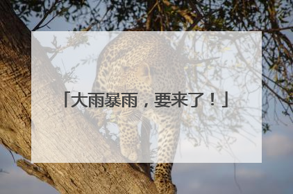 大雨暴雨，要来了！