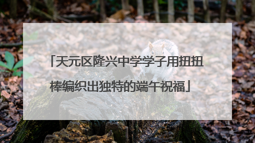 天元区隆兴中学学子用扭扭棒编织出独特的端午祝福