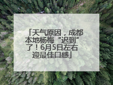 天气原因，成都本地杨梅“迟到”了！6月5日左右迎最佳口感