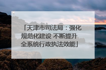 天津市司法局：强化规范化建设 不断提升全系统行政执法效能