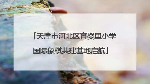 天津市河北区育婴里小学国际象棋共建基地启航