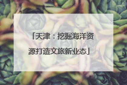 天津：挖掘海洋资源打造文旅新业态