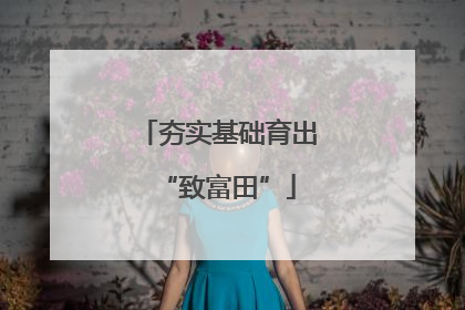 夯实基础育出“致富田”