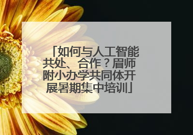 如何与人工智能共处、合作？眉师附小办学共同体开展暑期集中培训