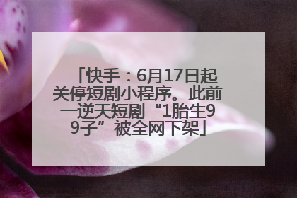 快手：6月17日起关停短剧小程序。此前一逆天短剧“1胎生99子”被全网下架