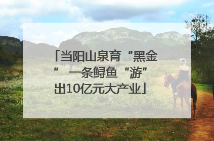 当阳山泉育“黑金” 一条鲟鱼“游”出10亿元大产业