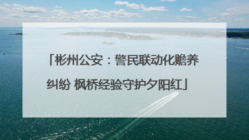彬州公安：警民联动化赡养纠纷 枫桥经验守护夕阳红