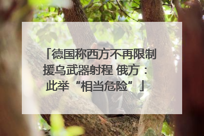德国称西方不再限制援乌武器射程 俄方：此举“相当危险”