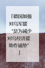 德国加强对乌军援 “是为减少对乌经济援助作铺垫”