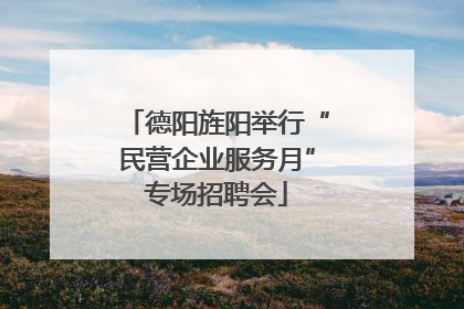 德阳旌阳举行“民营企业服务月”专场招聘会