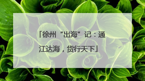徐州“出海”记：通江达海，货行天下