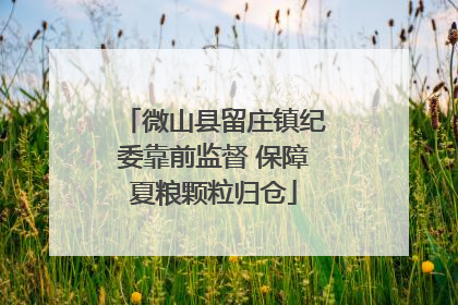 微山县留庄镇纪委靠前监督 保障夏粮颗粒归仓