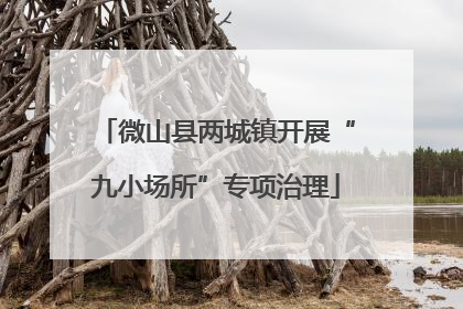 微山县两城镇开展“九小场所”专项治理