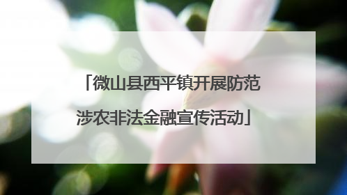 微山县西平镇开展防范涉农非法金融宣传活动