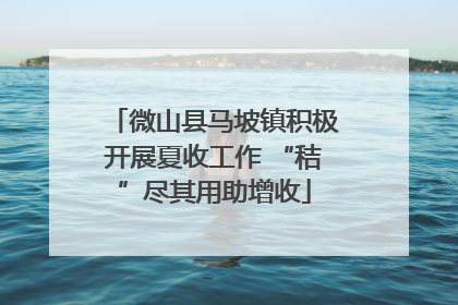 微山县马坡镇积极开展夏收工作 “秸”尽其用助增收
