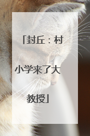 封丘：村小学来了大教授