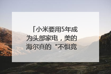 小米要用5年成为头部家电，美的海尔真的“不惧竞争”？｜热财经