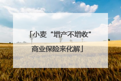 小麦“增产不增收” 商业保险来化解
