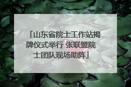 山东省院士工作站揭牌仪式举行 张联盟院士团队现场助阵