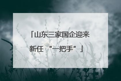 山东三家国企迎来新任 “一把手”