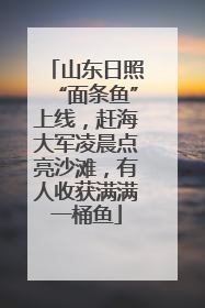 山东日照“面条鱼”上线，赶海大军凌晨点亮沙滩，有人收获满满一桶鱼