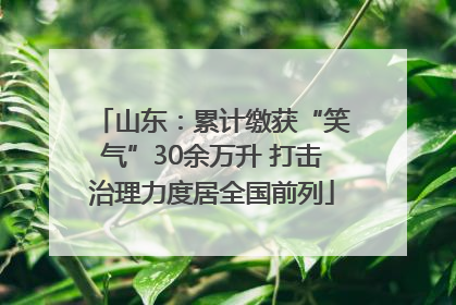 山东：累计缴获“笑气”30余万升 打击治理力度居全国前列