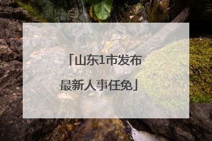 山东1市发布最新人事任免