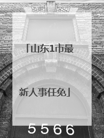 山东1市最新人事任免