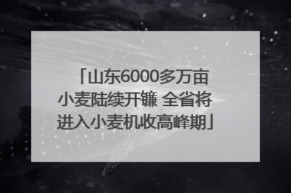 山东6000多万亩小麦陆续开镰 全省将进入小麦机收高峰期