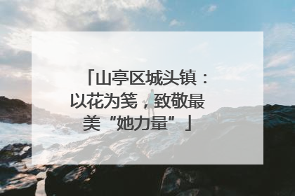 山亭区城头镇：以花为笺，致敬最美“她力量”