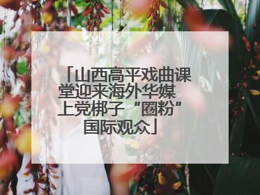 山西高平戏曲课堂迎来海外华媒 上党梆子“圈粉”国际观众