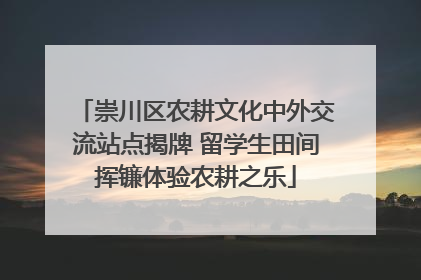 崇川区农耕文化中外交流站点揭牌 留学生田间挥镰体验农耕之乐