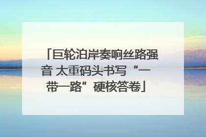 巨轮泊岸奏响丝路强音 太重码头书写“一带一路”硬核答卷