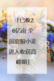 已收2.6亿亩 全国夏粮小麦进入收获高峰期