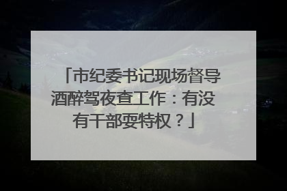 市纪委书记现场督导酒醉驾夜查工作：有没有干部耍特权？