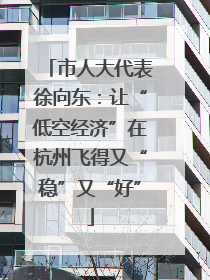 市人大代表徐向东：让“低空经济”在杭州飞得又“稳”又“好”