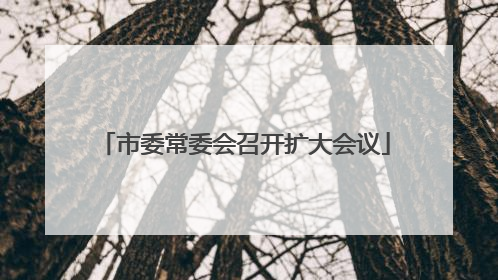 市委常委会召开扩大会议