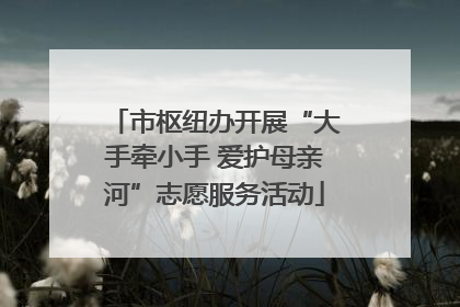 市枢纽办开展“大手牵小手 爱护母亲河”志愿服务活动