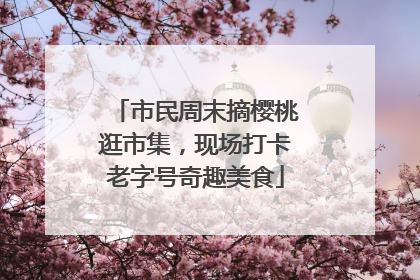 市民周末摘樱桃逛市集，现场打卡老字号奇趣美食