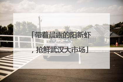 带着晨露的阳新虾，抢鲜武汉大市场