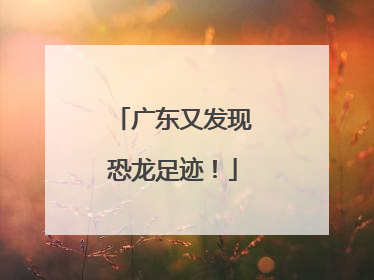 广东又发现恐龙足迹！