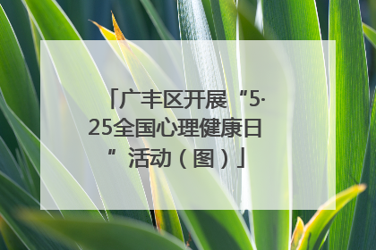 广丰区开展“5·25全国心理健康日”活动（图）